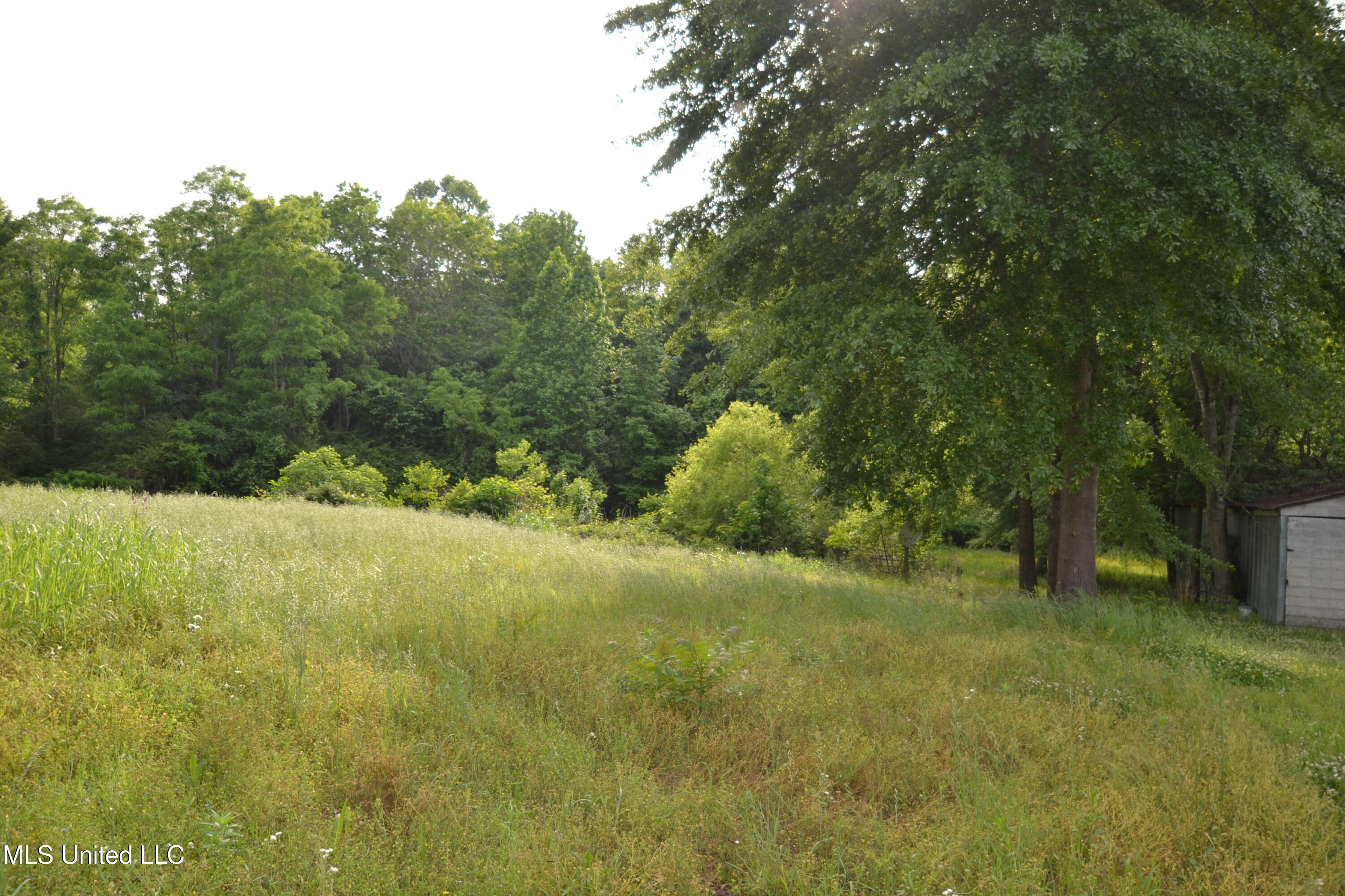 443 Highway 305 N, Olive Branch, Mississippi image 4