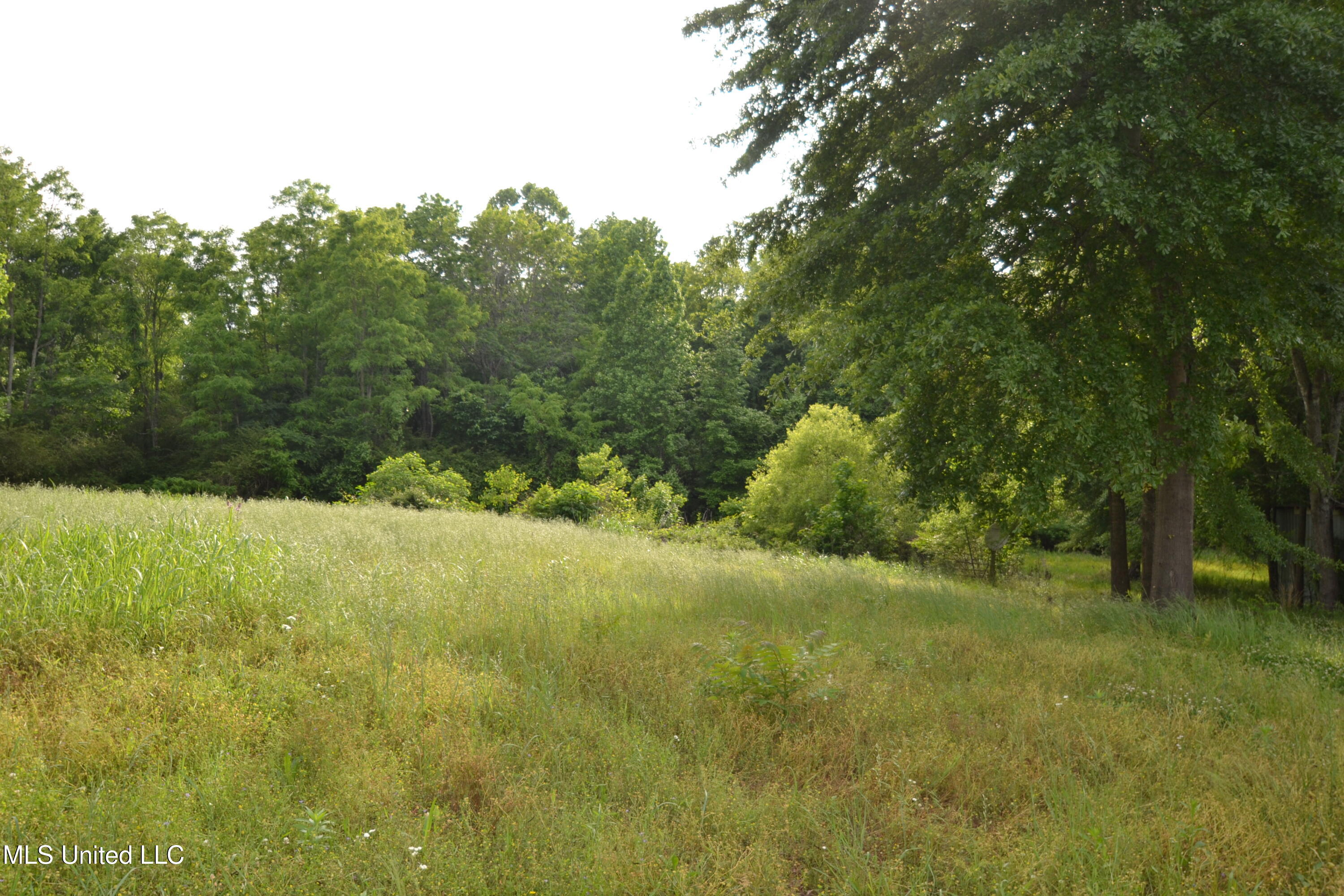 443 Highway 305 N, Olive Branch, Mississippi image 11