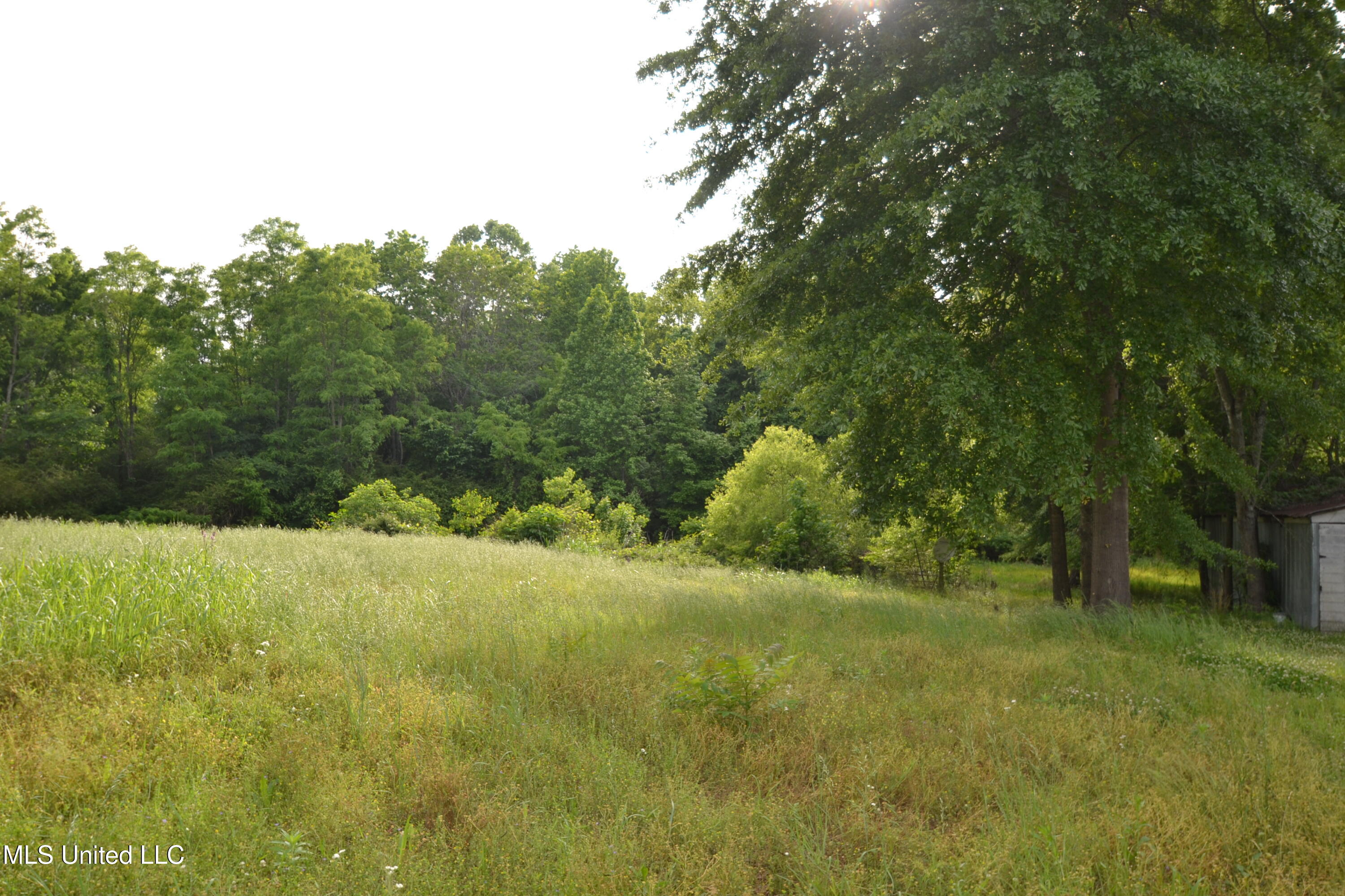 443 Highway 305 N, Olive Branch, Mississippi image 7