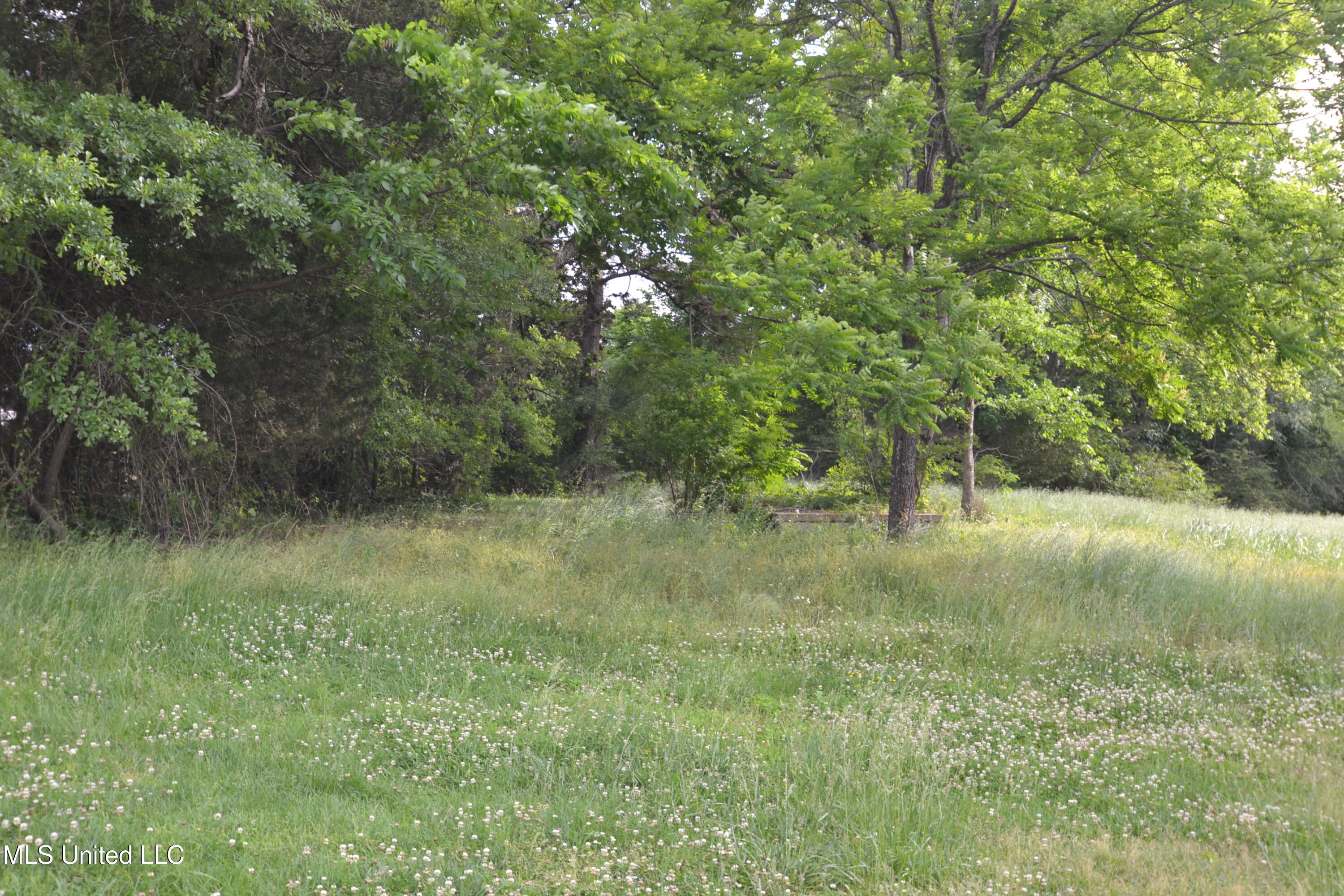 443 Highway 305 N, Olive Branch, Mississippi image 3