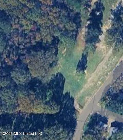 Vacant Land For Sale - Conestoga Road<br/> Madison County, Ridgeland, MS 39157