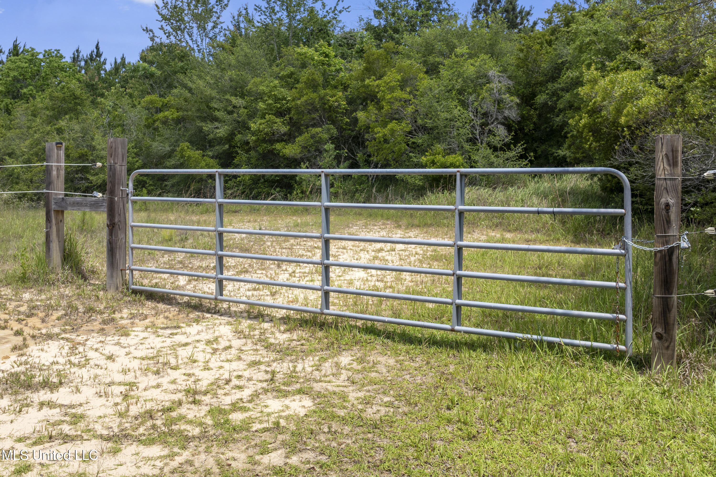 Amberwood Lane, Lucedale, Mississippi image 3