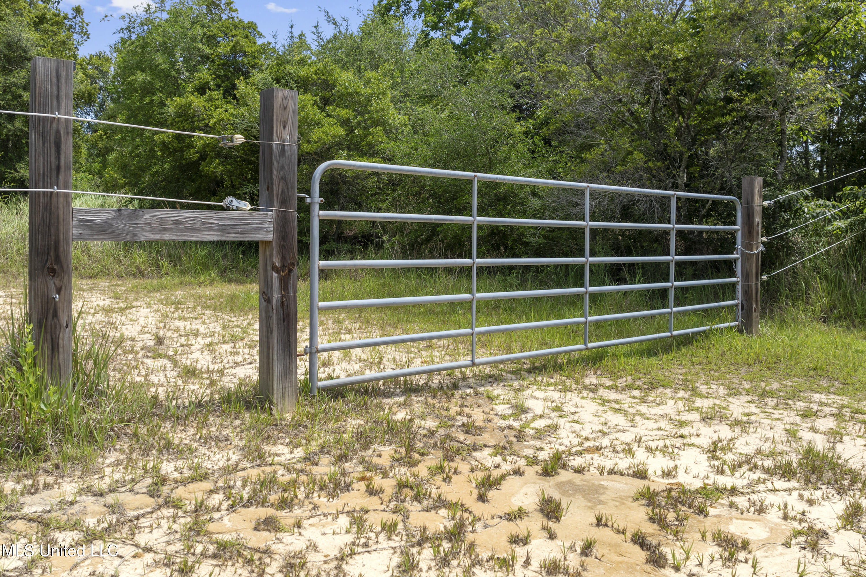 Amberwood Lane, Lucedale, Mississippi image 2