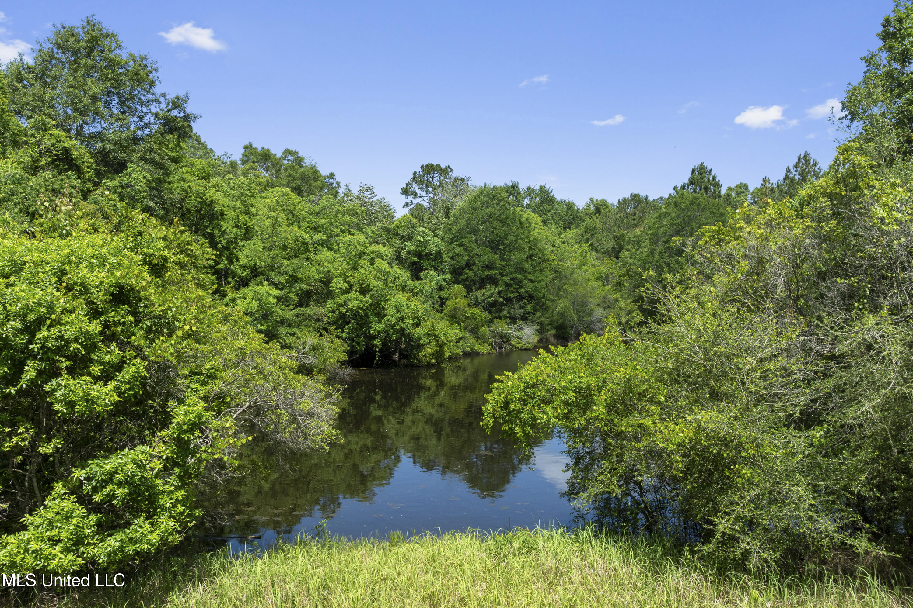 Amberwood Lane, Lucedale, Mississippi image 10