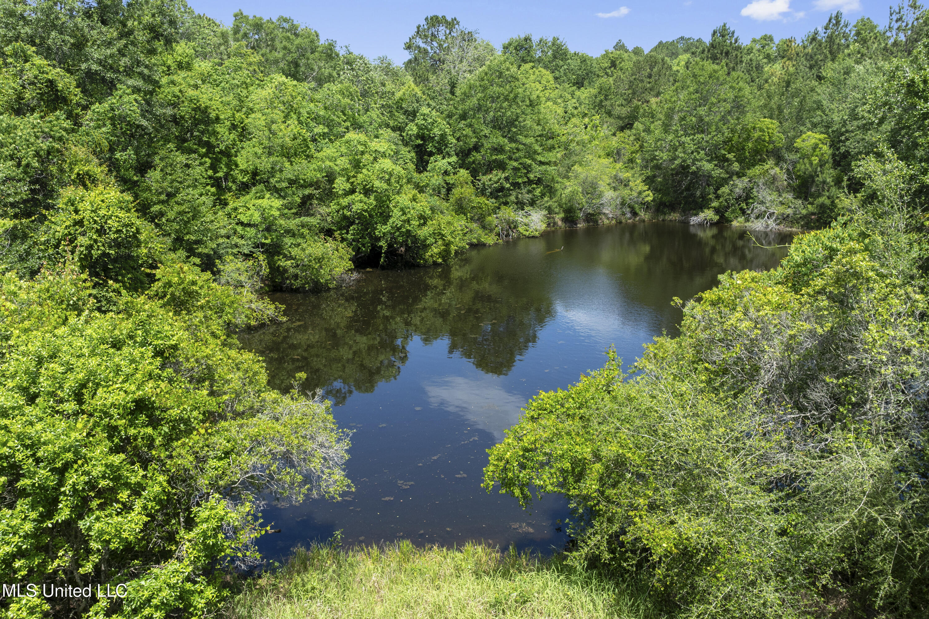 Amberwood Lane, Lucedale, Mississippi image 7