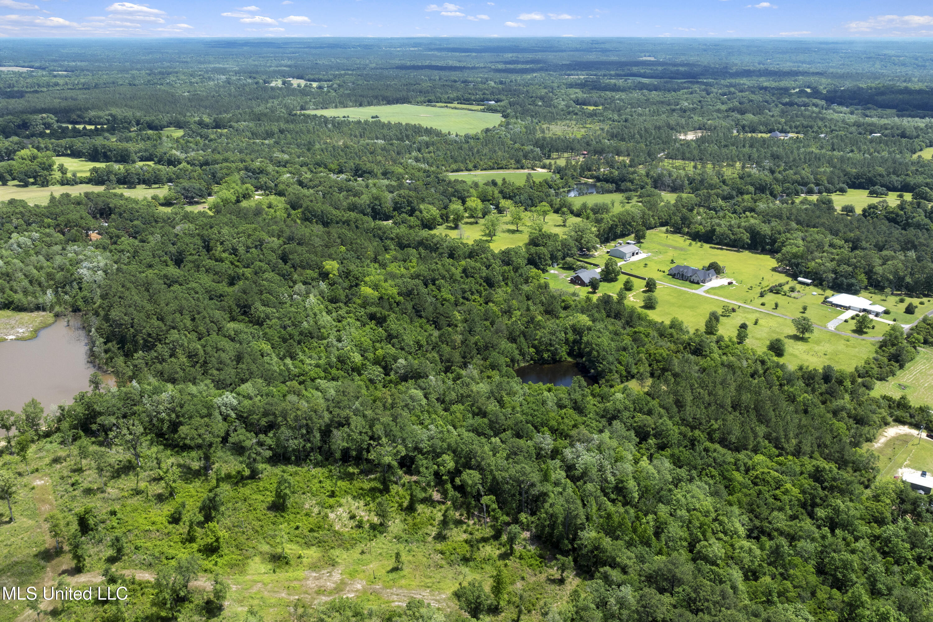Amberwood Lane, Lucedale, Mississippi image 18