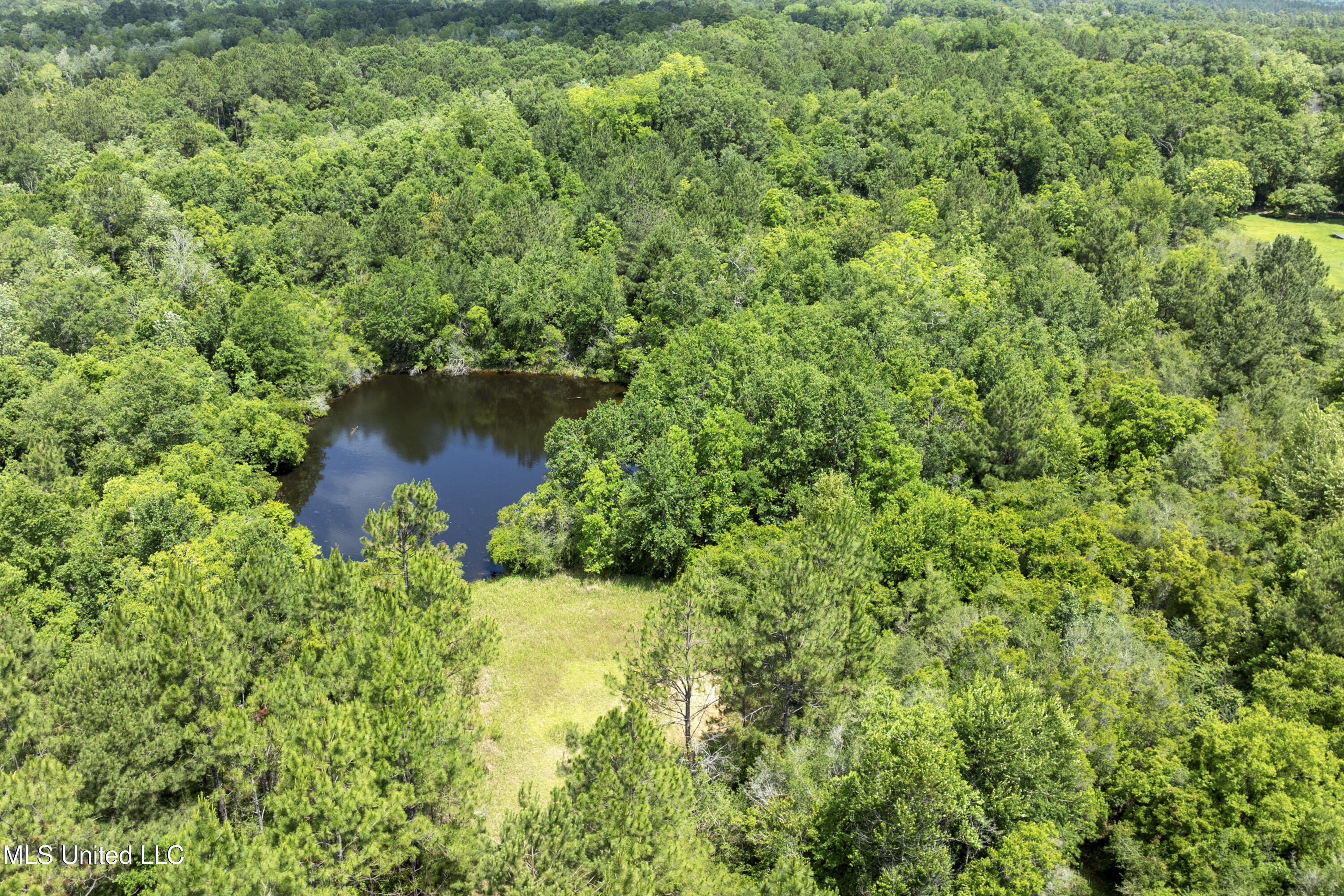 Amberwood Lane, Lucedale, Mississippi image 6