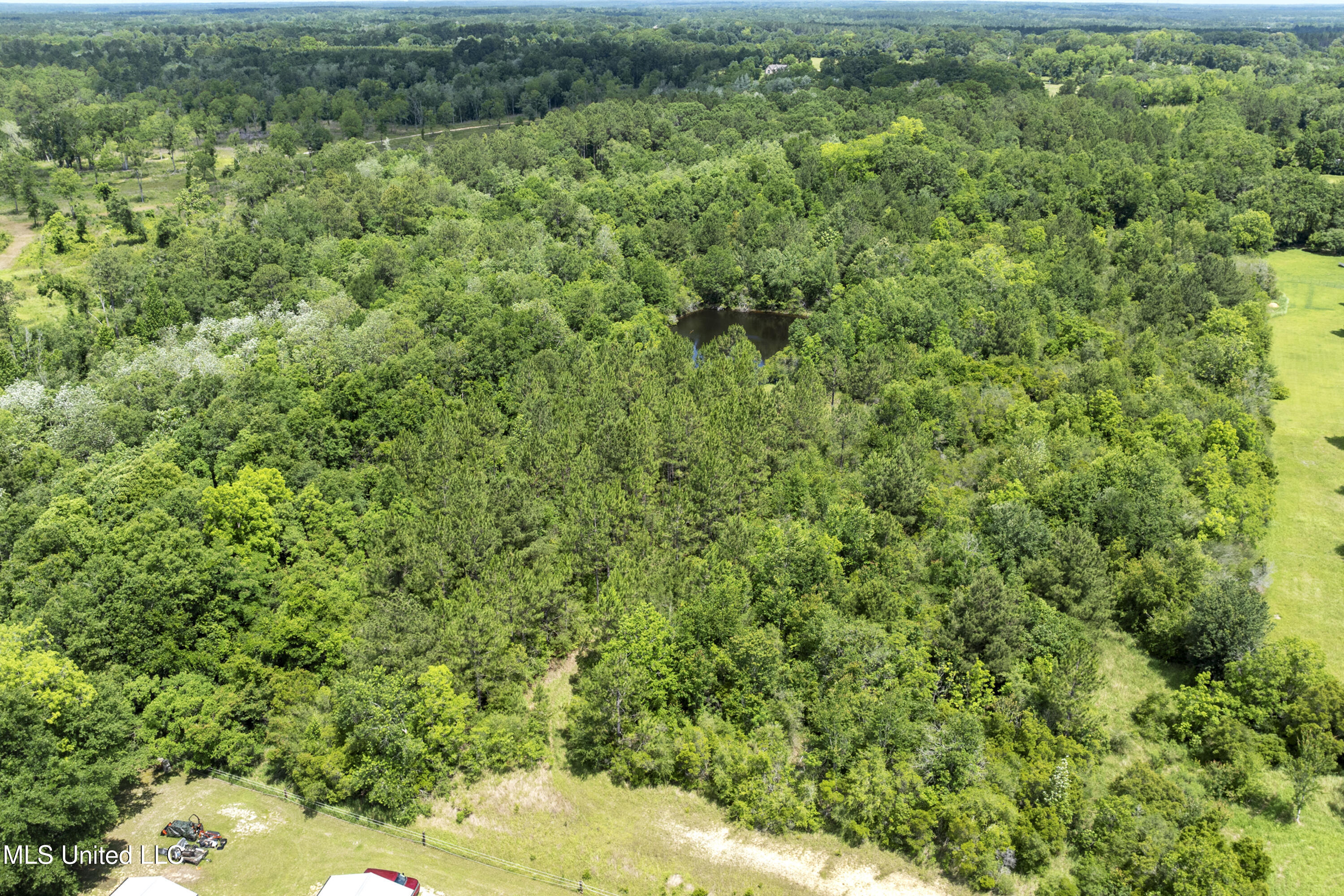 Amberwood Lane, Lucedale, Mississippi image 5