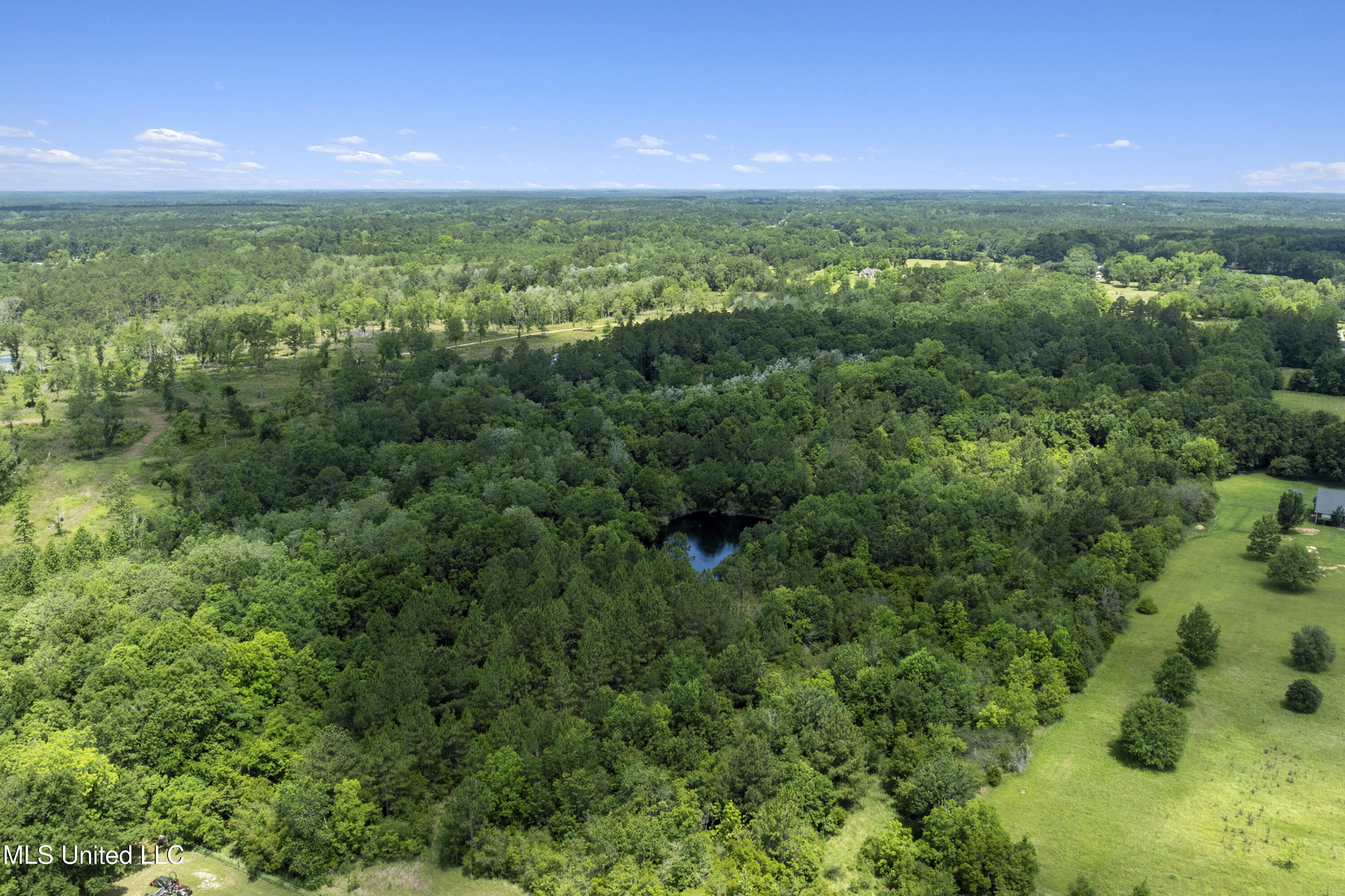 Amberwood Lane, Lucedale, Mississippi image 20