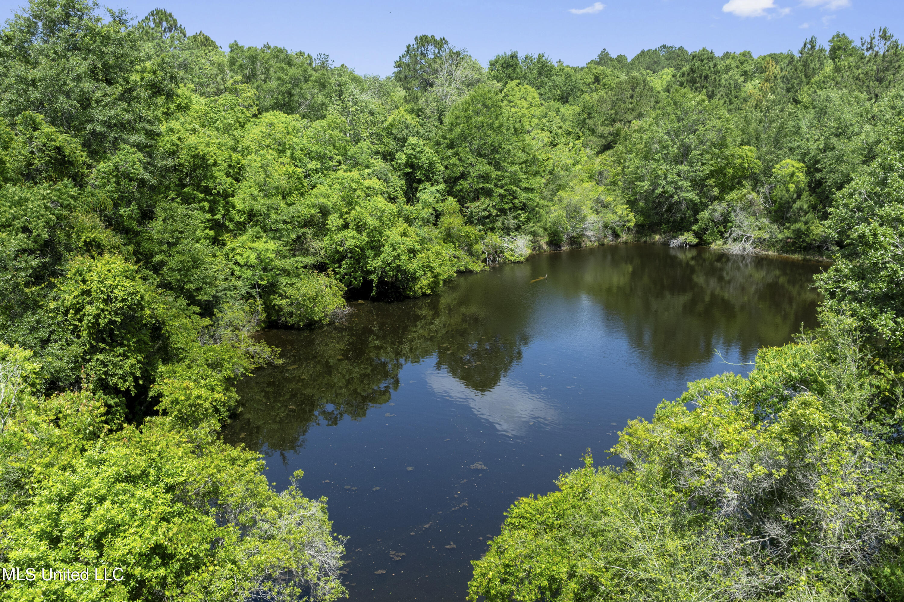 Amberwood Lane, Lucedale, Mississippi image 14