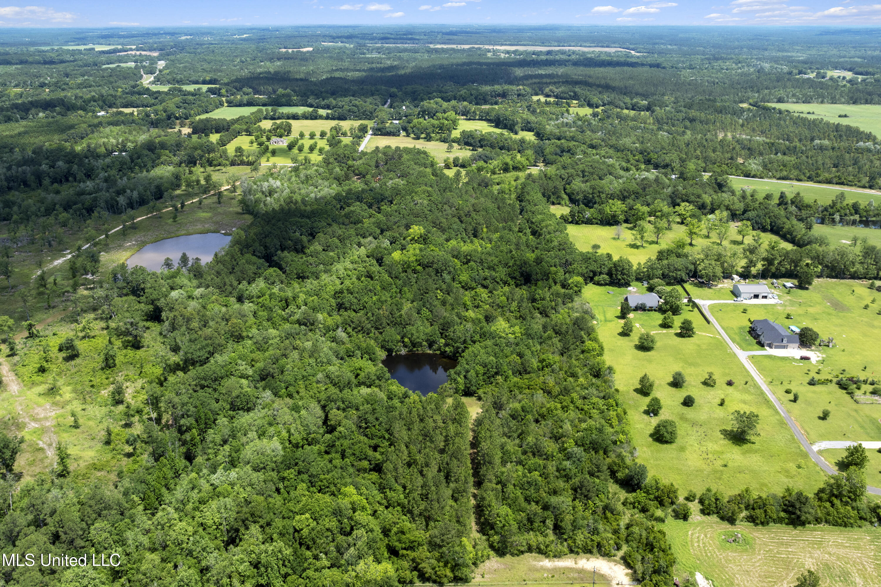 Amberwood Lane, Lucedale, Mississippi image 19