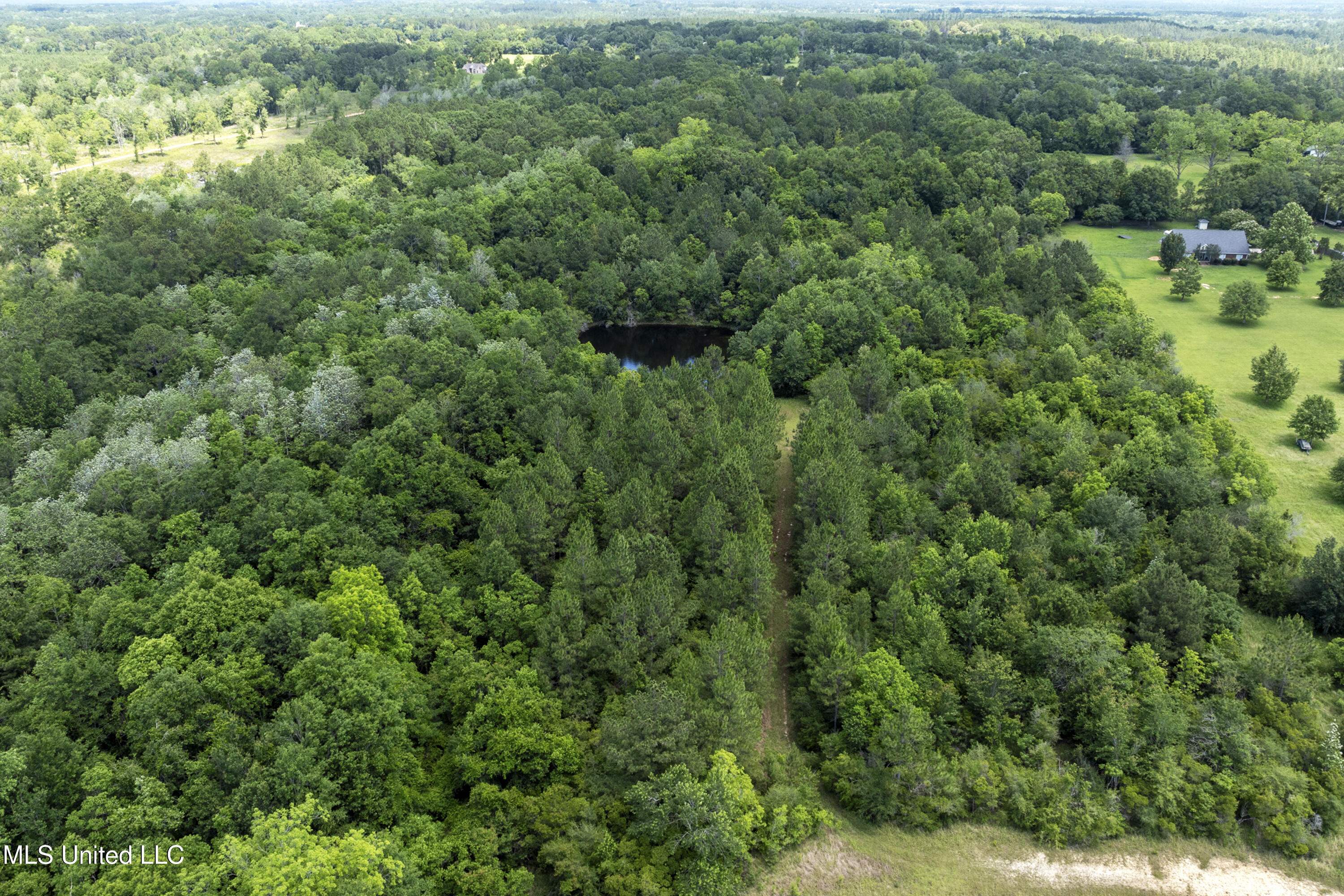 Amberwood Lane, Lucedale, Mississippi image 9