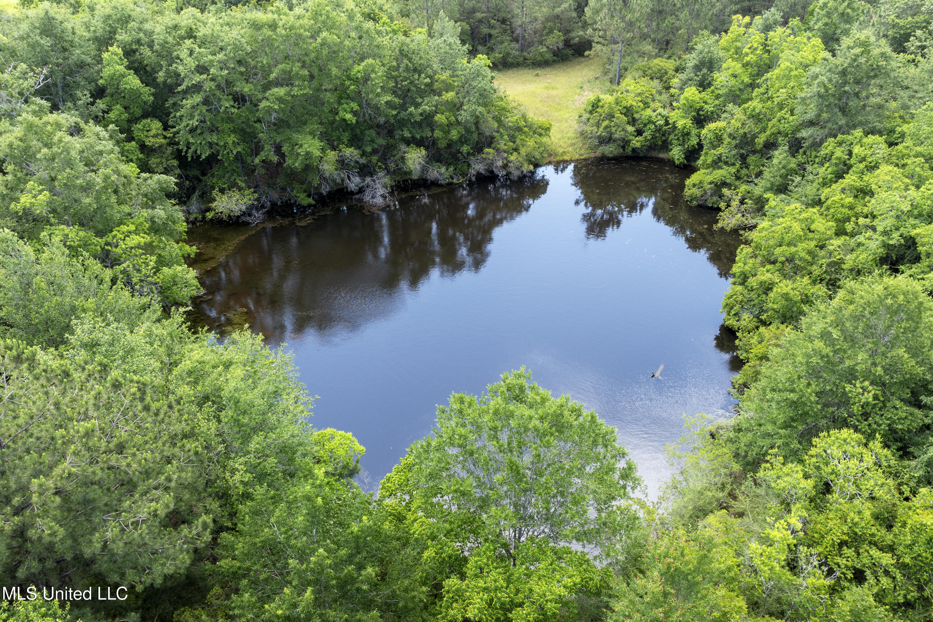 Amberwood Lane, Lucedale, Mississippi image 16