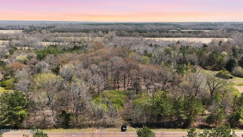 Vacant Land For Sale - N Mullins Road<br/> Byhalia, MS 38611