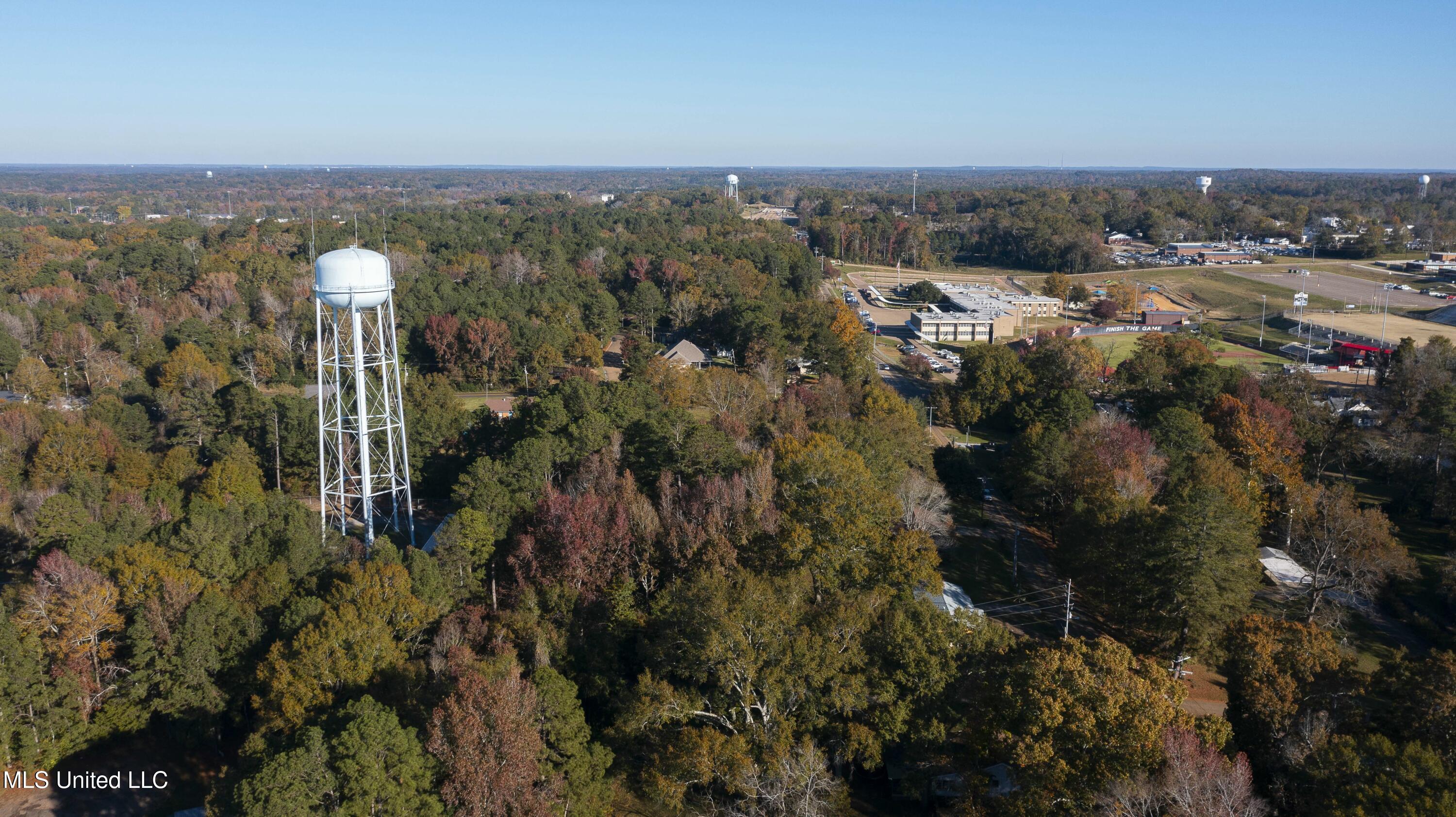 Overby St Street, Brandon, Mississippi image 7