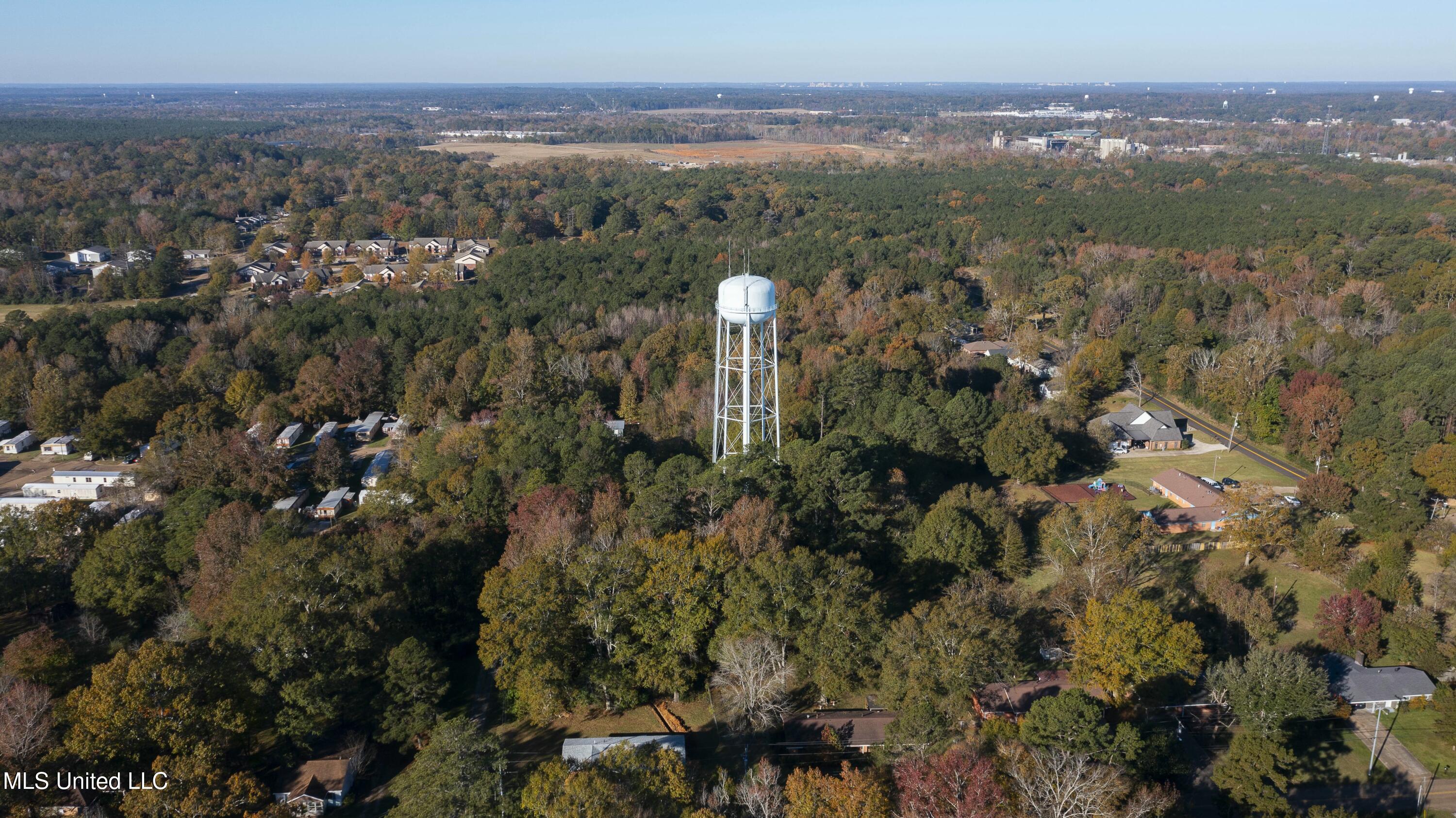 Overby St Street, Brandon, Mississippi image 9