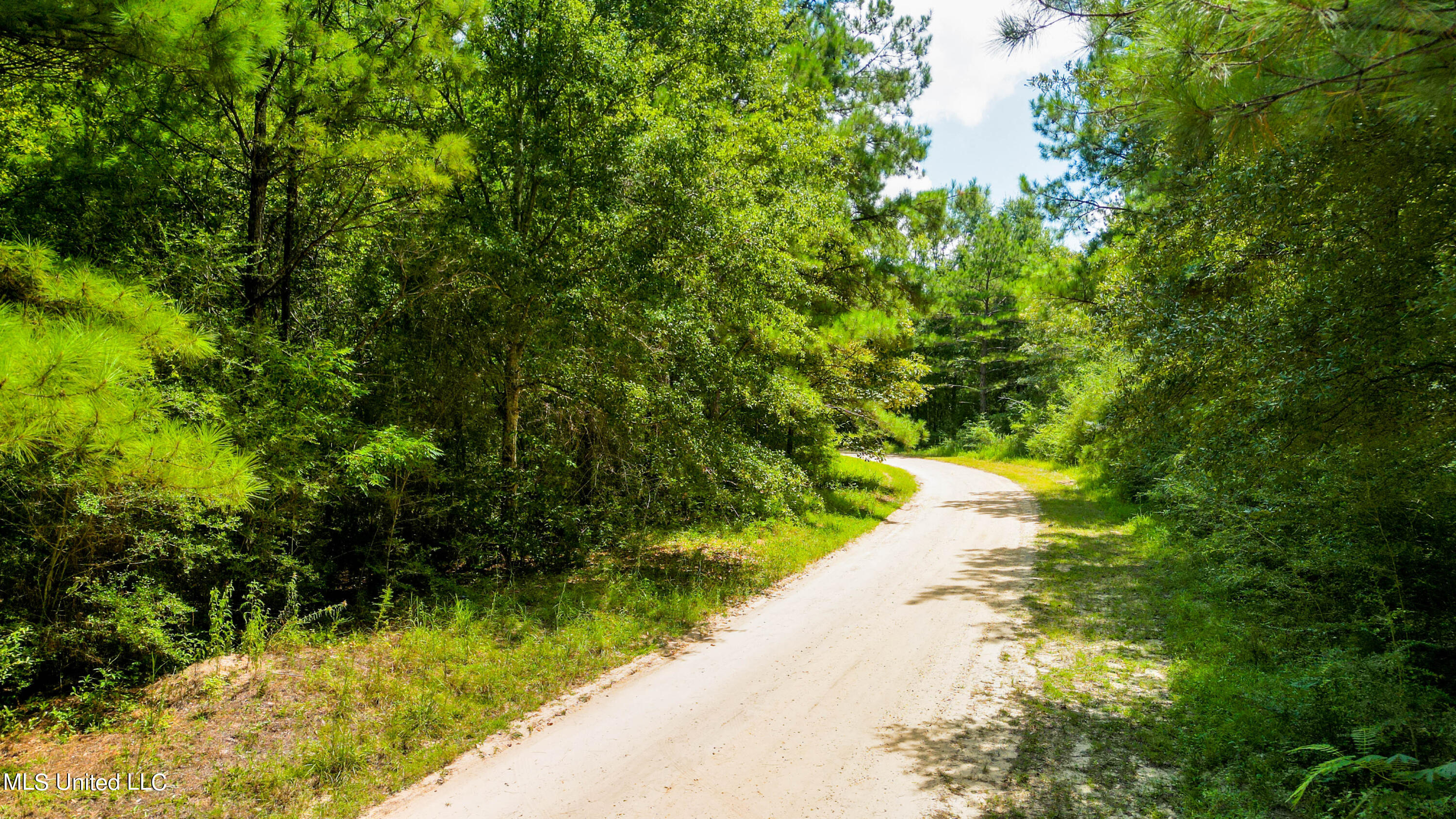 Nhn Holiday Drive, Lumberton, Mississippi image 9