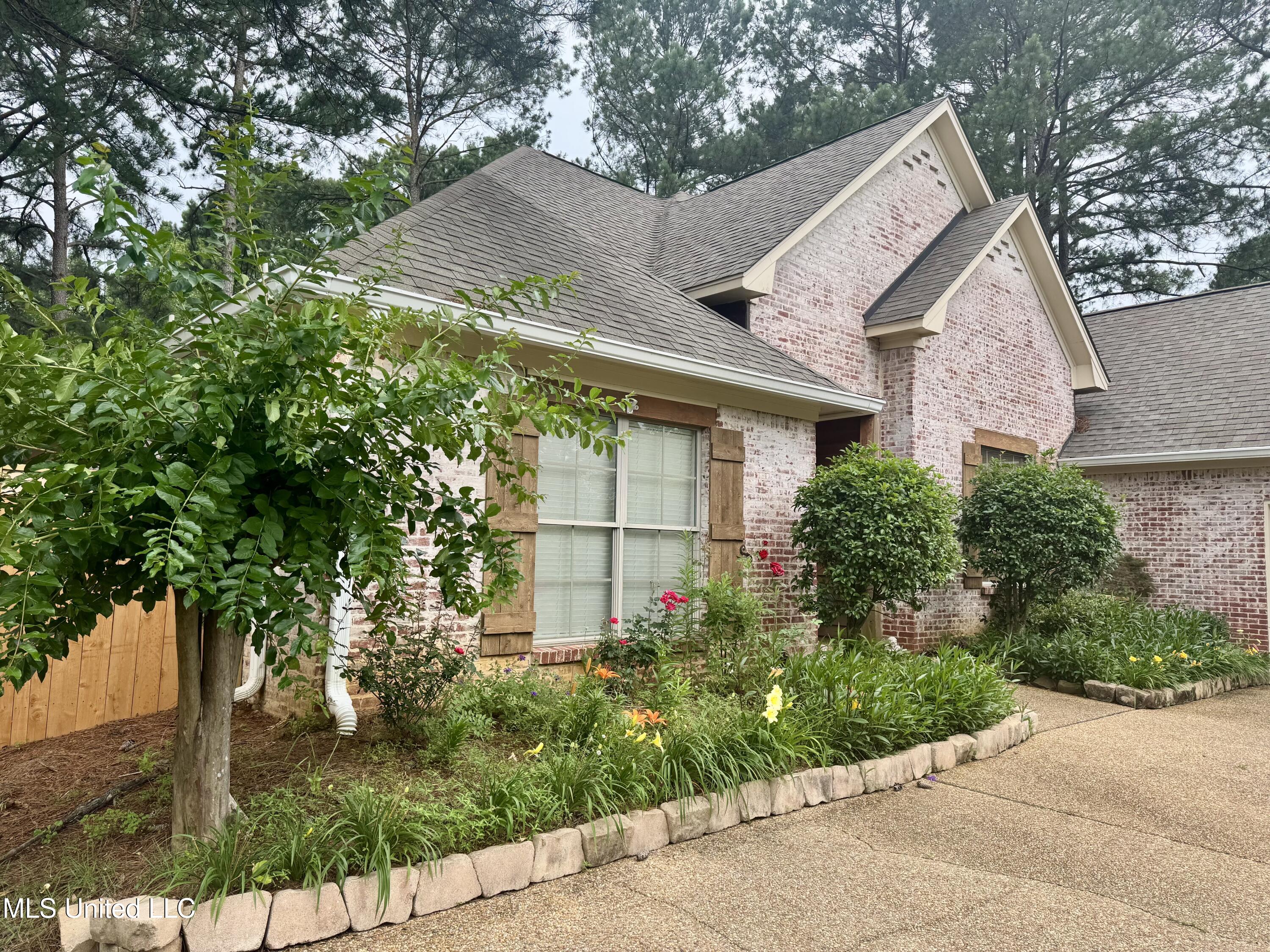 856 Wellington Way, Madison, Mississippi image 2