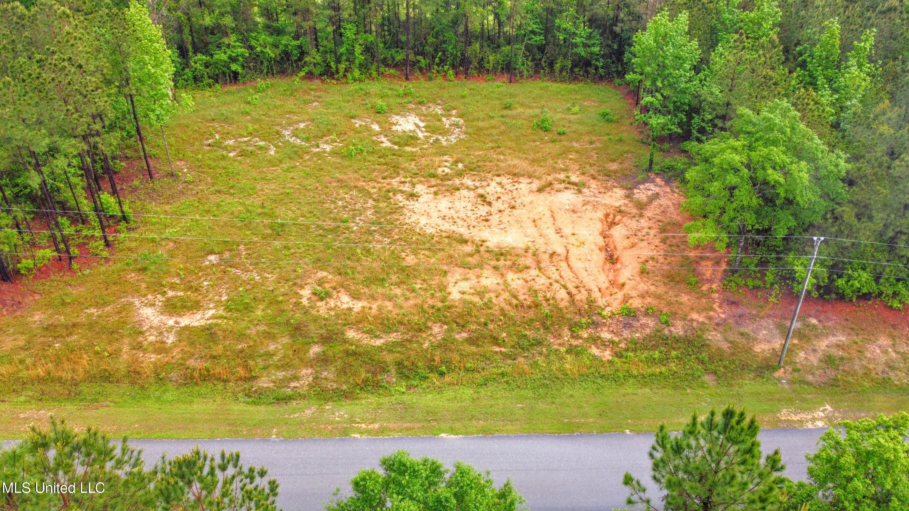36 E Stonegate Boulevard, Perkinston, Mississippi image 8