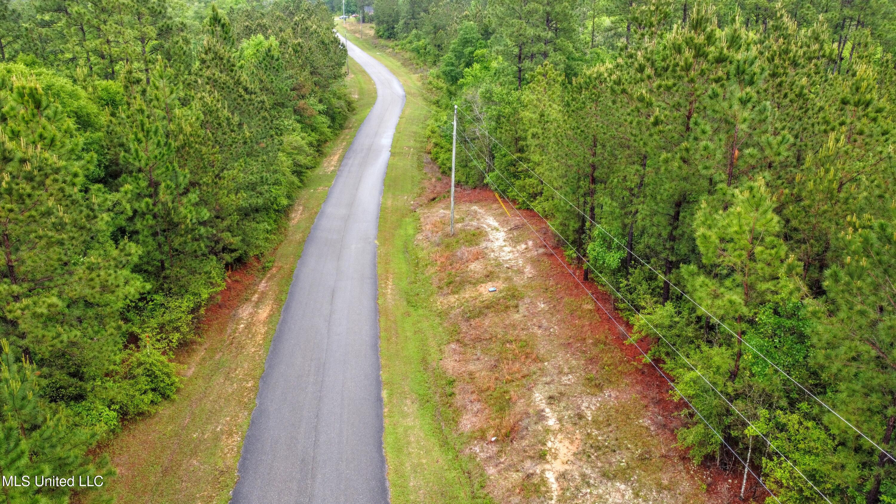 36 E Stonegate Boulevard, Perkinston, Mississippi image 25