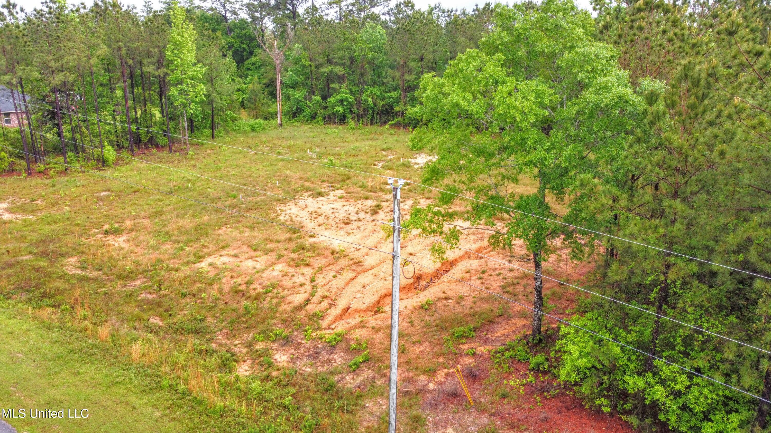 36 E Stonegate Boulevard, Perkinston, Mississippi image 6