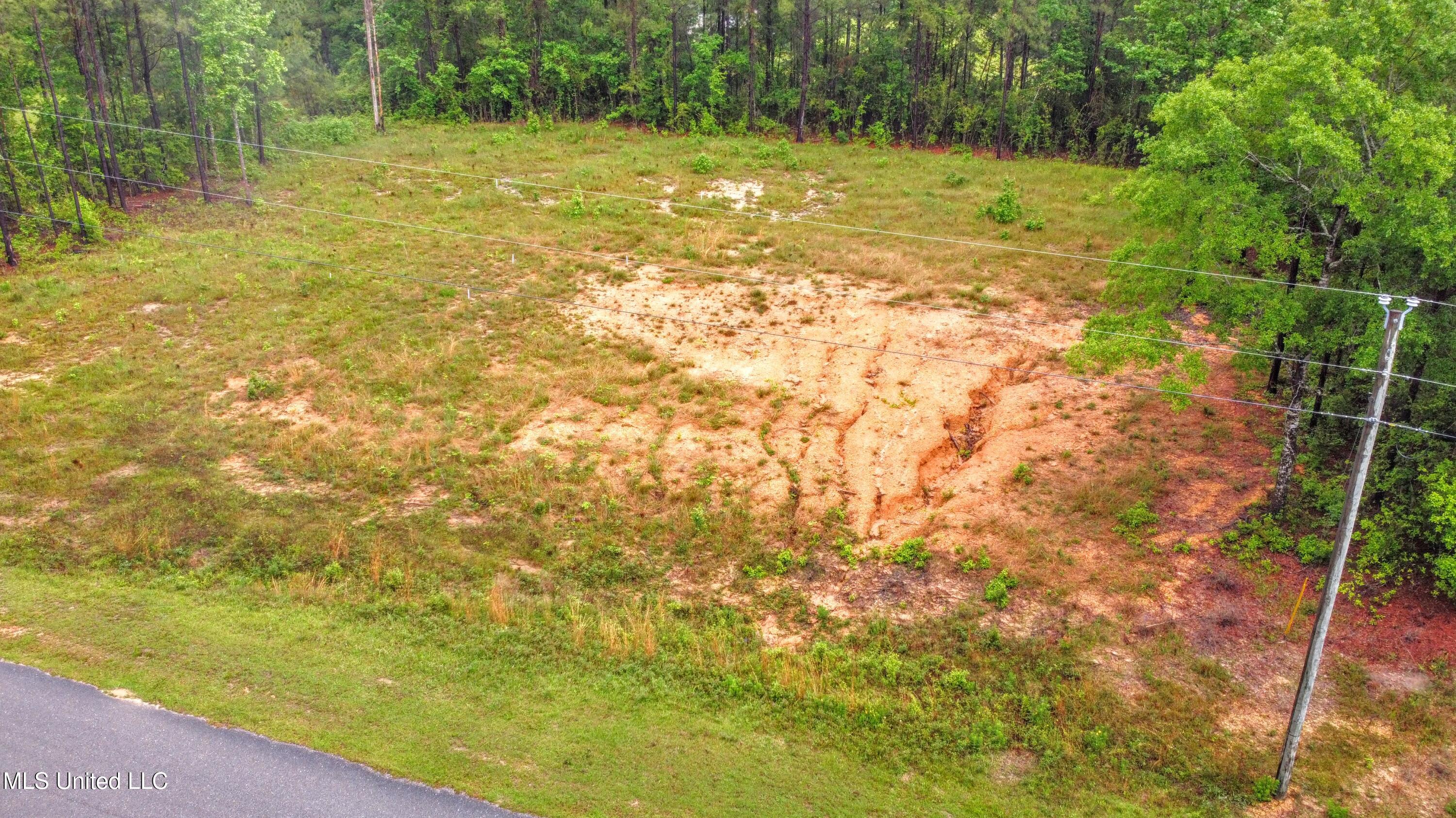 36 E Stonegate Boulevard, Perkinston, Mississippi image 7