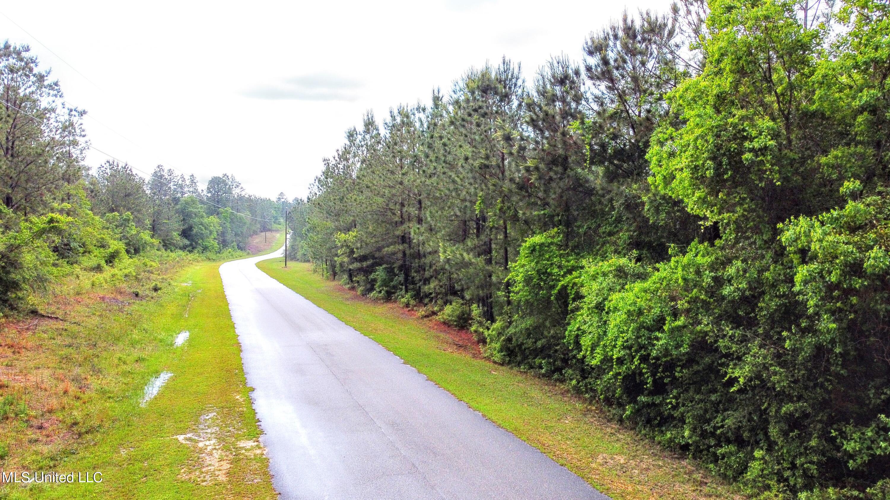 36 E Stonegate Boulevard, Perkinston, Mississippi image 4