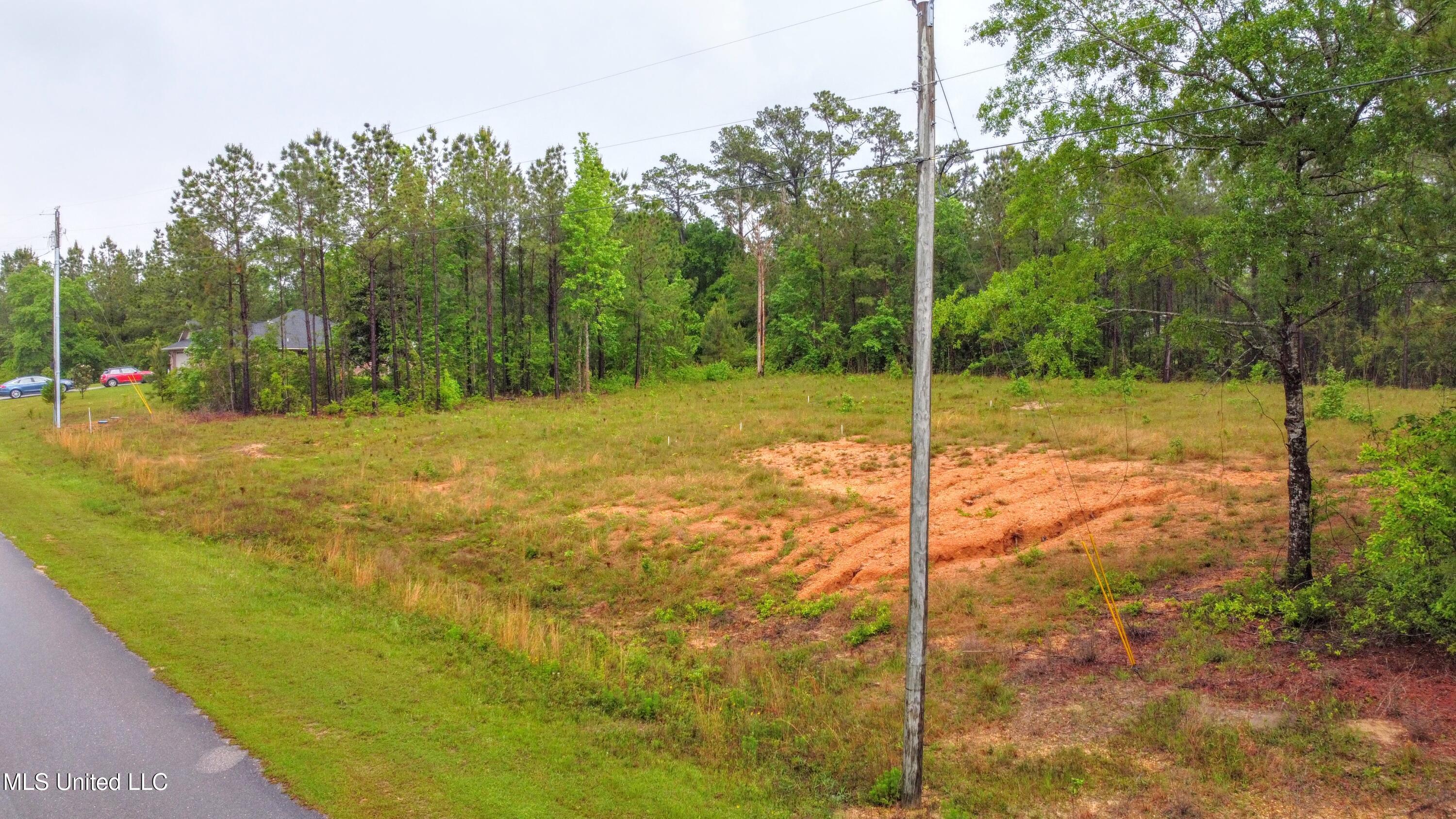 36 E Stonegate Boulevard, Perkinston, Mississippi image 5