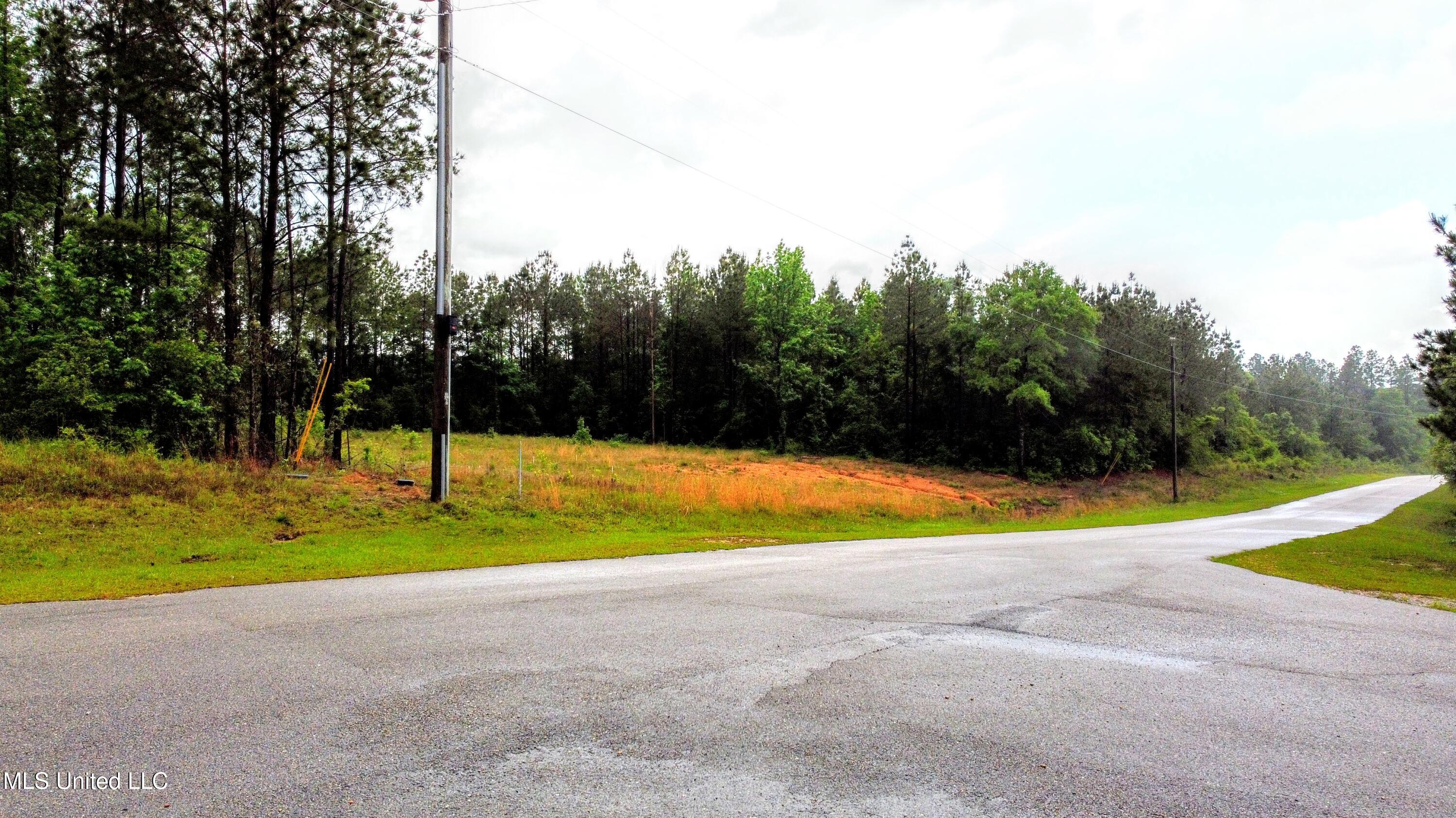 36 E Stonegate Boulevard, Perkinston, Mississippi image 3
