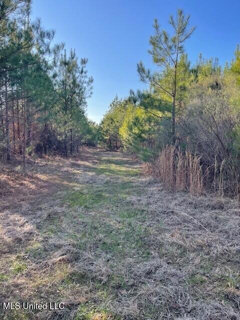 235 Woodrow Martin Road, Brandon, Mississippi image 7