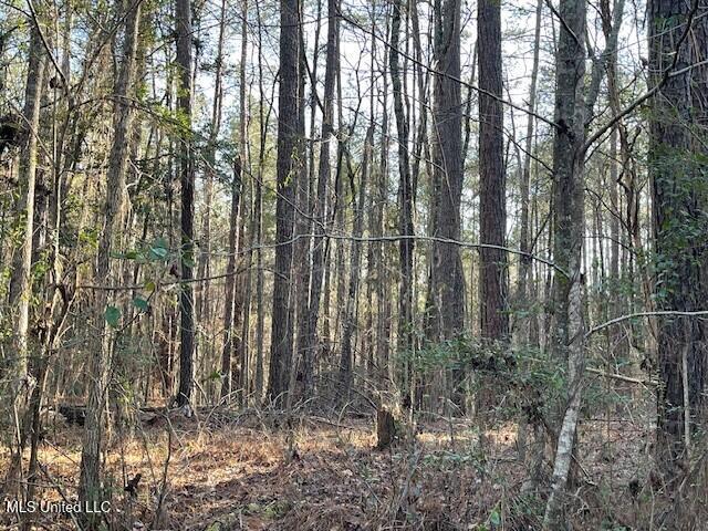 235 Woodrow Martin Road, Brandon, Mississippi image 6
