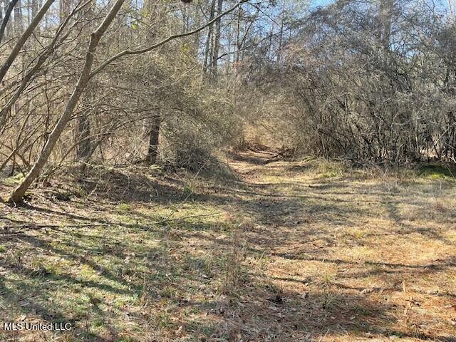 235 Woodrow Martin Road, Brandon, Mississippi image 3