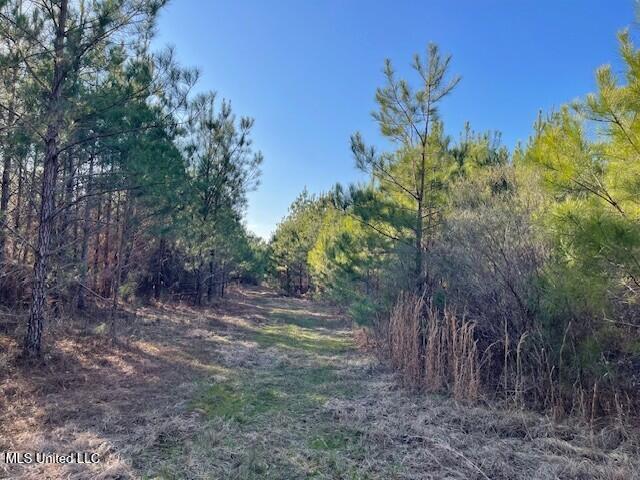 235 Woodrow Martin Road, Brandon, Mississippi image 8