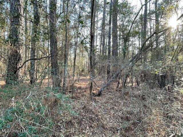 235 Woodrow Martin Road, Brandon, Mississippi image 5