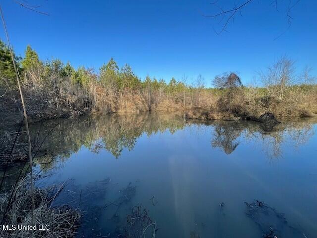 235 Woodrow Martin Road, Brandon, Mississippi image 11