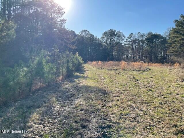 235 Woodrow Martin Road, Brandon, Mississippi image 1