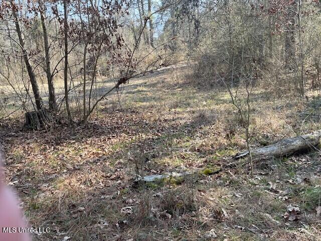 235 Woodrow Martin Road, Brandon, Mississippi image 4