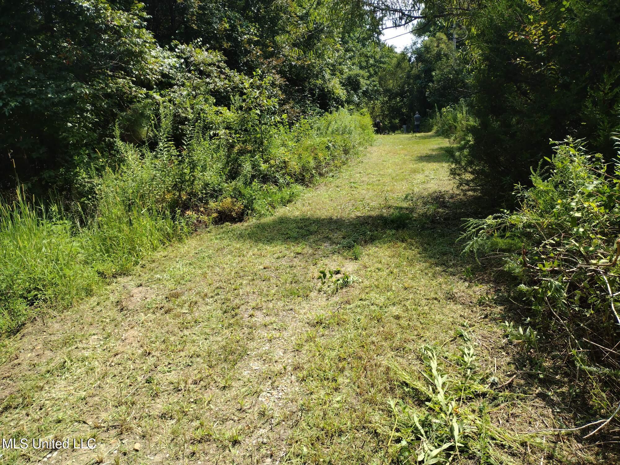 522 Breedlove Road, Michigan City, Mississippi image 34