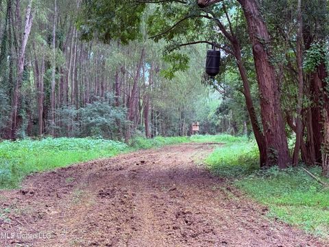 Vacant Land For Sale - Bourke Road<br/> Natchez, MS 39120