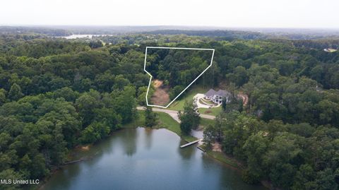 Vacant Land For Sale - Chestnut Hill Road<br/> Flora, MS 39071