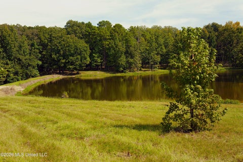 Vacant Land For Sale - 00 Ratliff Rd Road<br/> Raymond, MS 39154