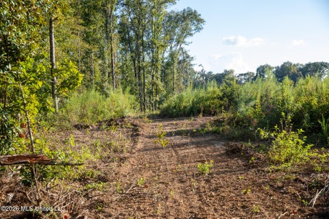 Vacant Land For Sale - Owen Boone Rd<br/> Puckett, MS 39042