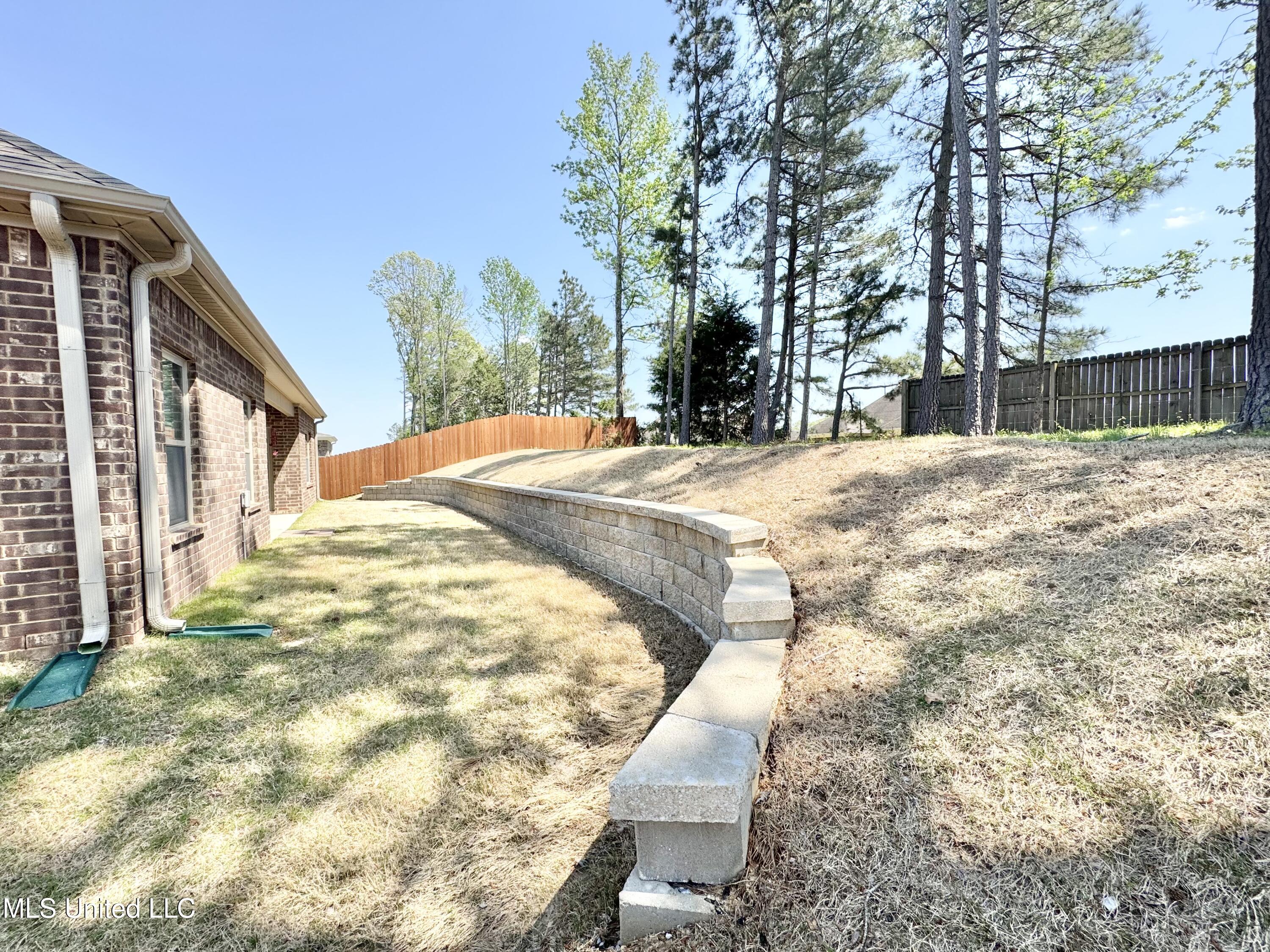 2347 Hyacinth Lane, Hernando, Mississippi image 24