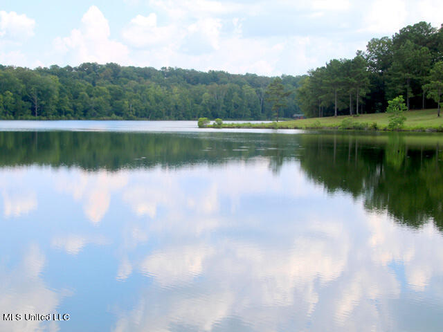 Chestnut Hill Road, Flora, Mississippi image 3