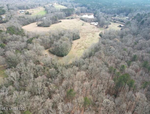 Crowder Creek Road, Carthage, Mississippi image 6