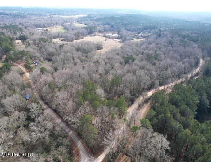 Crowder Creek Road, Carthage, Mississippi image 1