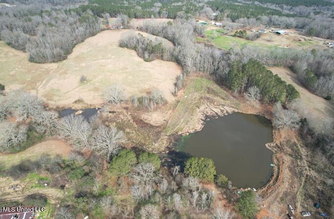 Crowder Creek Road, Carthage, Mississippi image 4