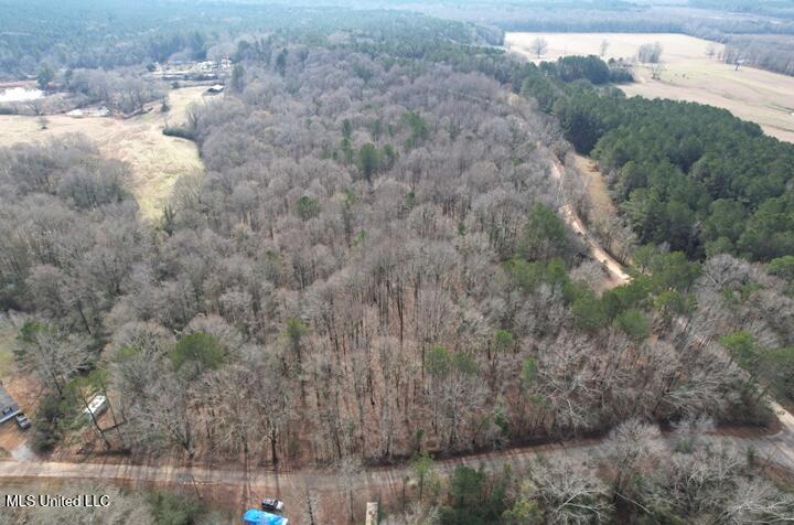 Crowder Creek Road, Carthage, Mississippi image 3