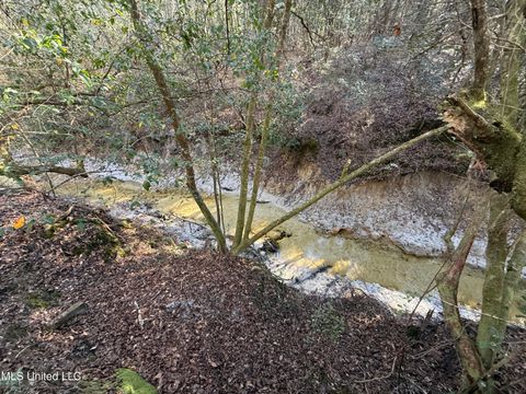 Vacant Land For Sale - 38 AC +/- Indian Hill Road<br/> Richton, MS 39476