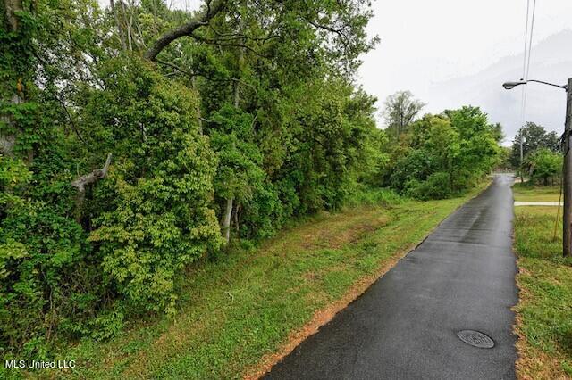 Webster Street, Bay Saint Louis, Mississippi image 3